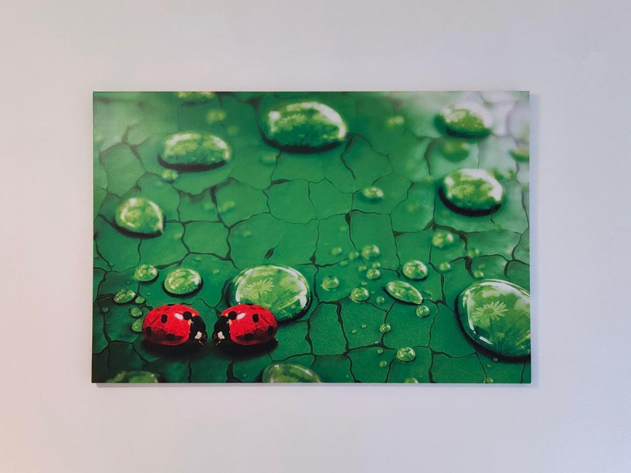 La Coccinella Di Susa Перджине Валсугана Екстериор снимка